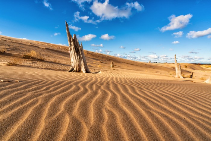 Silver Lake Sand Dunes Waves by Charles Bonham