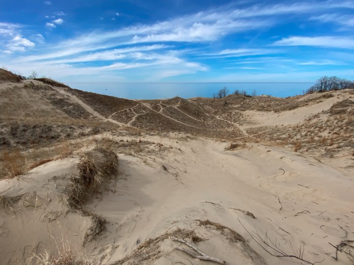 Beautiful Grand Mere Dunes by Mark Swanson
