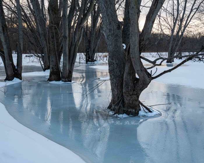 Smooth by Ron DeHaan