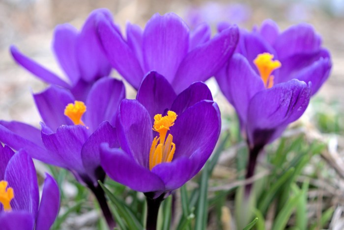 Untitled by Scott Glenn