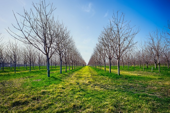 Any Day Now by Mark Smith