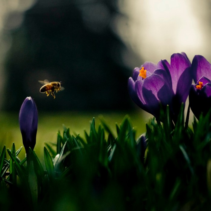 Bees Working by Brooke Pennington