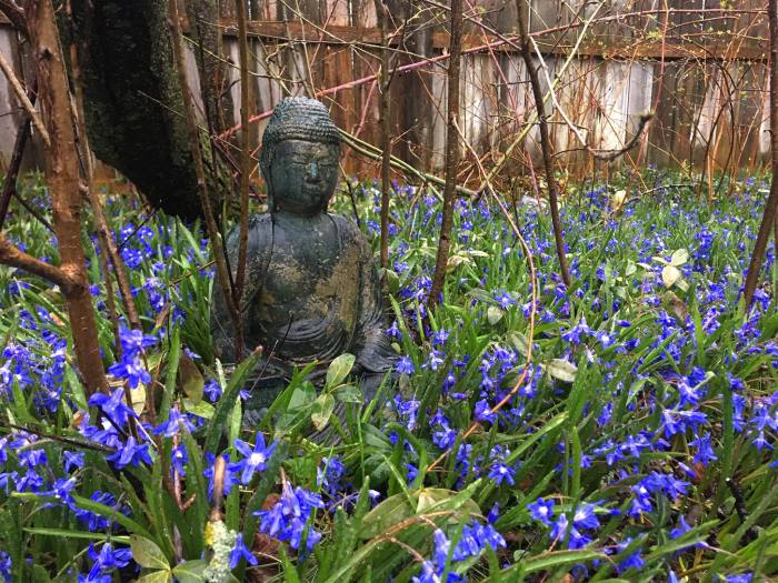 Mom's garden by Andrew McFarlane