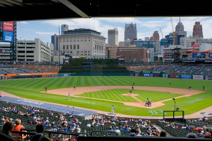 Chicago Cubs at Detroit Tigers by Dan Gaken