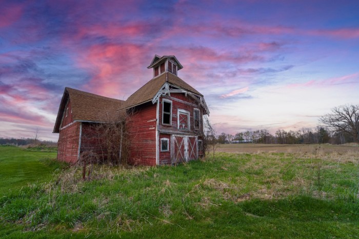 Once Upon a Time on a Farm by Jamie MacDonald
