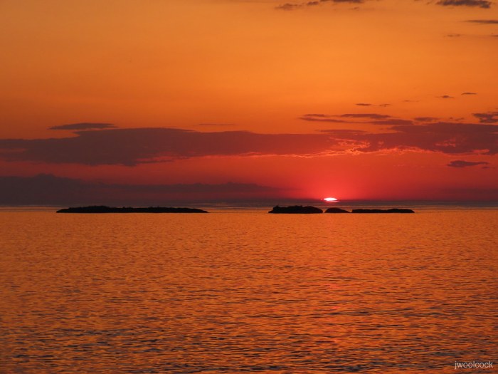 Superiors Wink by James Woolcock