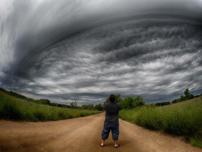 The UFO Show by Jamie Macdonald