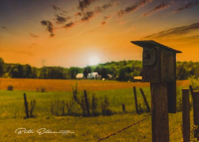 Home for Sale! by Fire Fighter's Wife