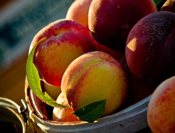 Morning Sun by Richard Deming Photography