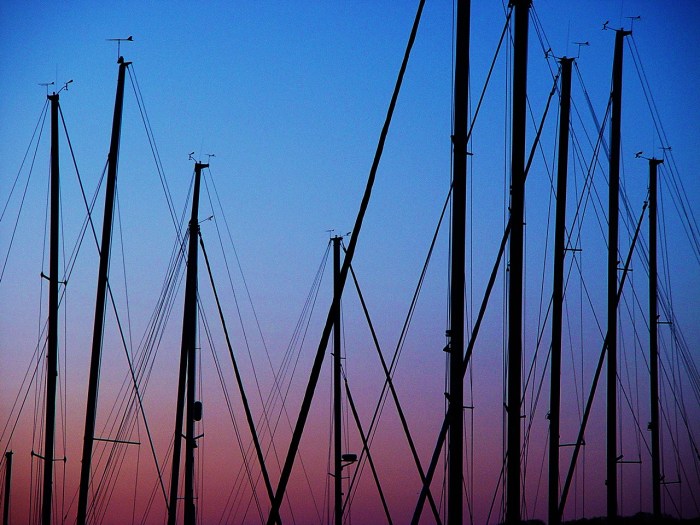 Sail Boat Masts - Macatawa, Michigan by Lita Sandy
