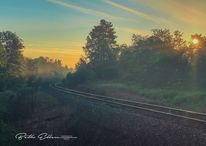 No Real Silence by Fire Fighters Wife