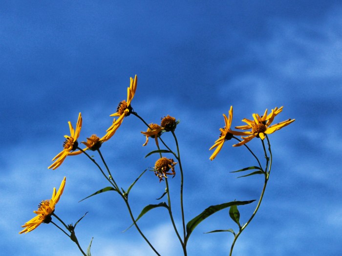 Reaching for the light by Mike Carey