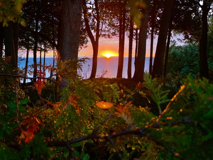 Sunrise 1000 by Bugsy Sailor