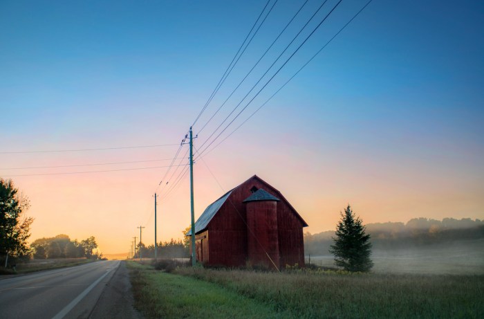 Cool Foggy Morning by T P Mann