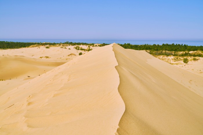 Feeling A Little On Edge Today by David Hoffman