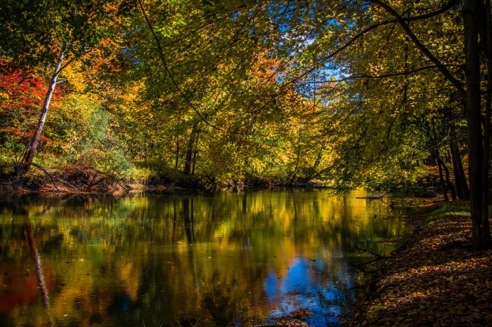 Riverbank Reflection by Jeff Dehmel