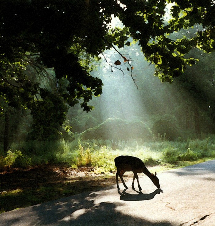 Deep Thoughts & Work Comps by Cave Canem