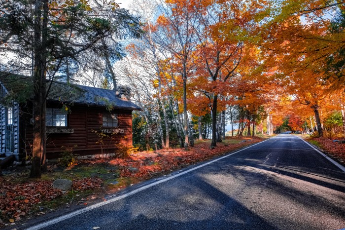M-119 - Michigan’s Tunnel of Trees by Dan Gaken