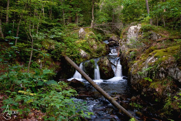 Reany Creek Falls by Aaron Strouse