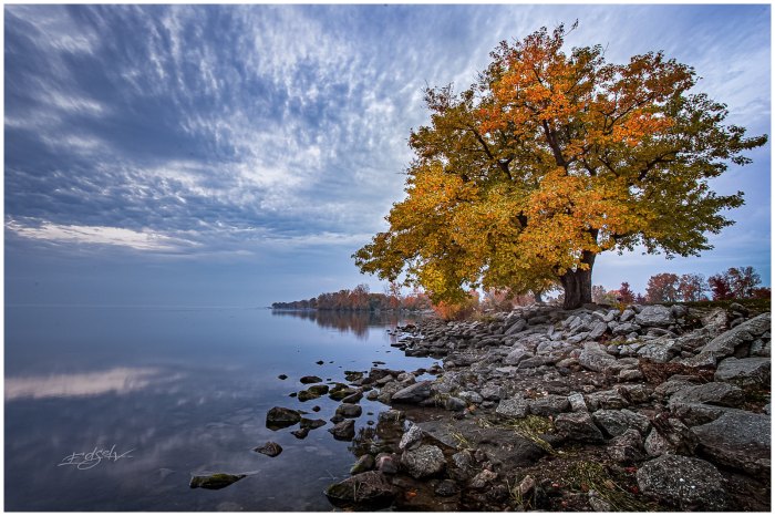 Untitled by Etzel Noble