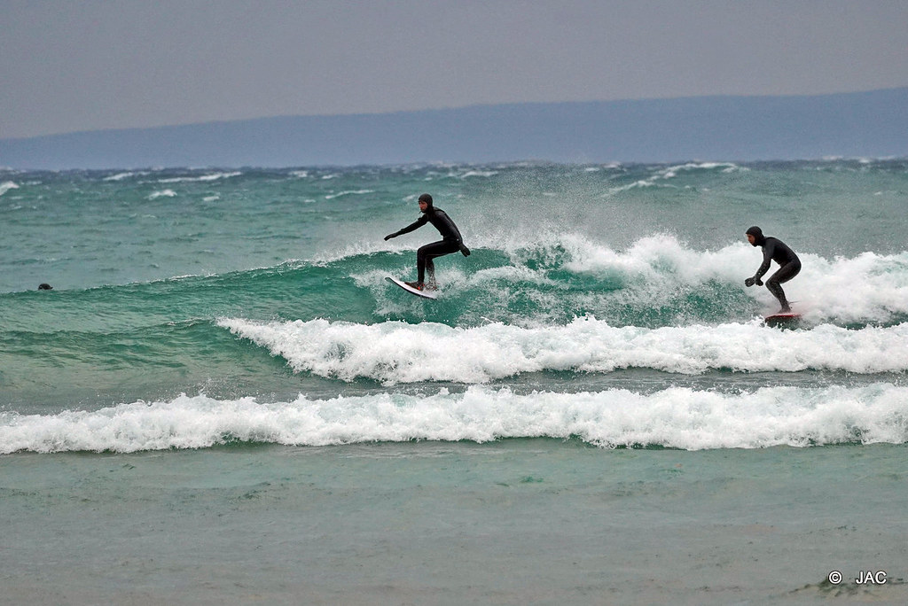 Surfs UpAgain by Julie