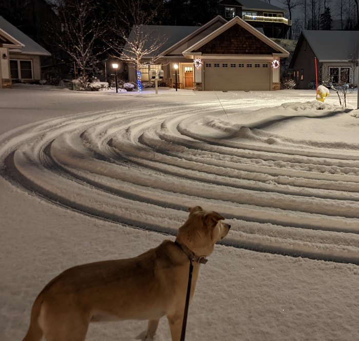 Before the Plows Come By by Ann Fisher