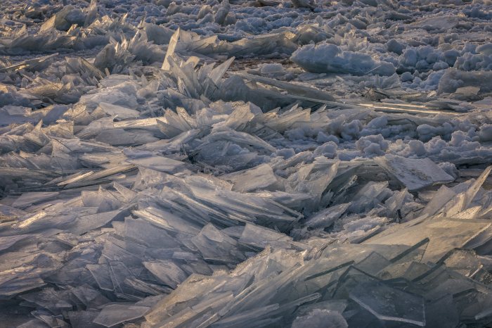 Ice Baby by Michelle Leale