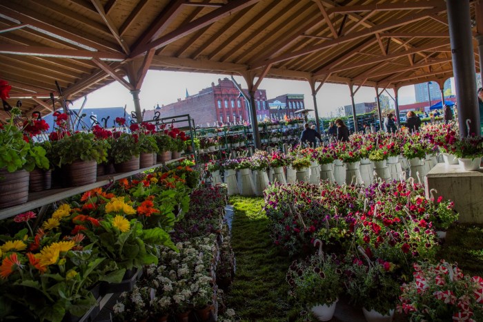 Eastern Market Flower Day