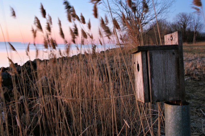 Bird House by Charles Hildebrandt