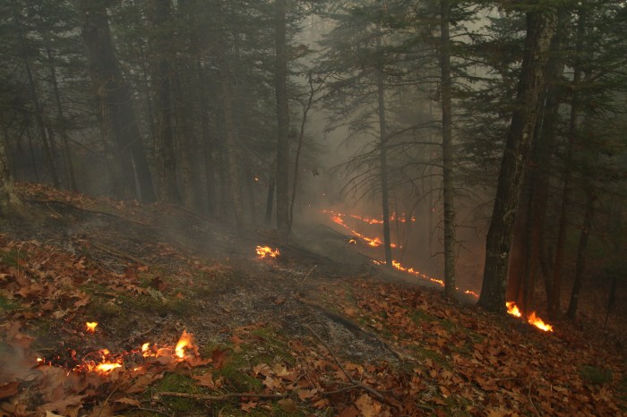 Forest Fire - Sleeping Bear Dunes by Todd