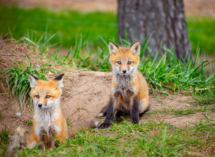 Hanging at the Den by TP Mann