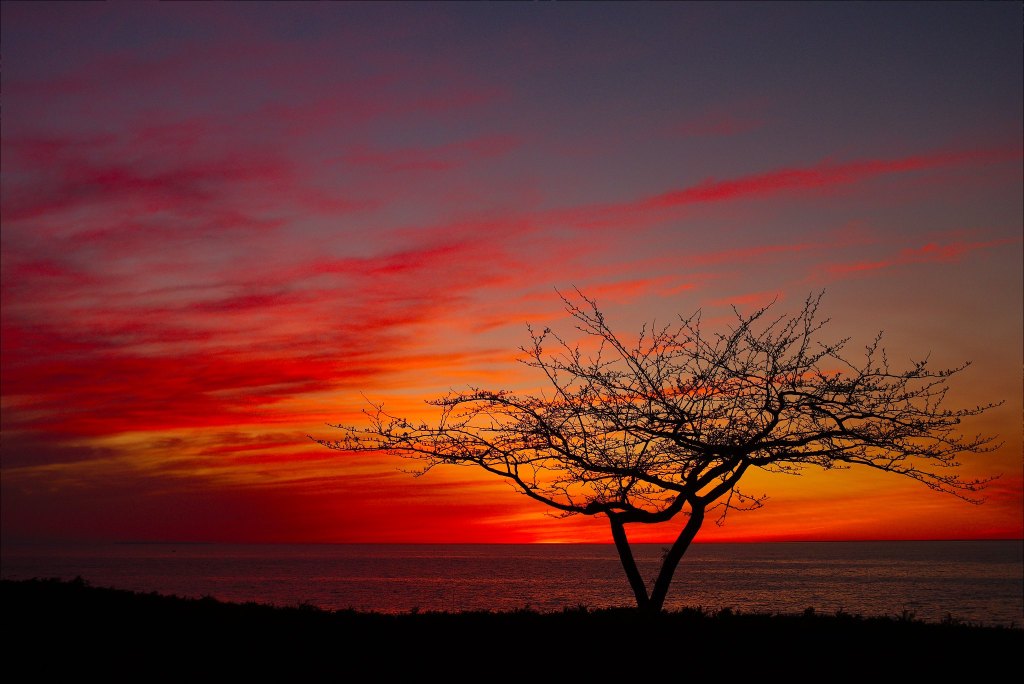 Solstice Sunset by Kent Babb