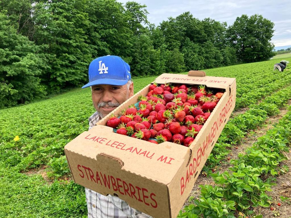 Strawberry Season at Bardenhagen Berries Farm