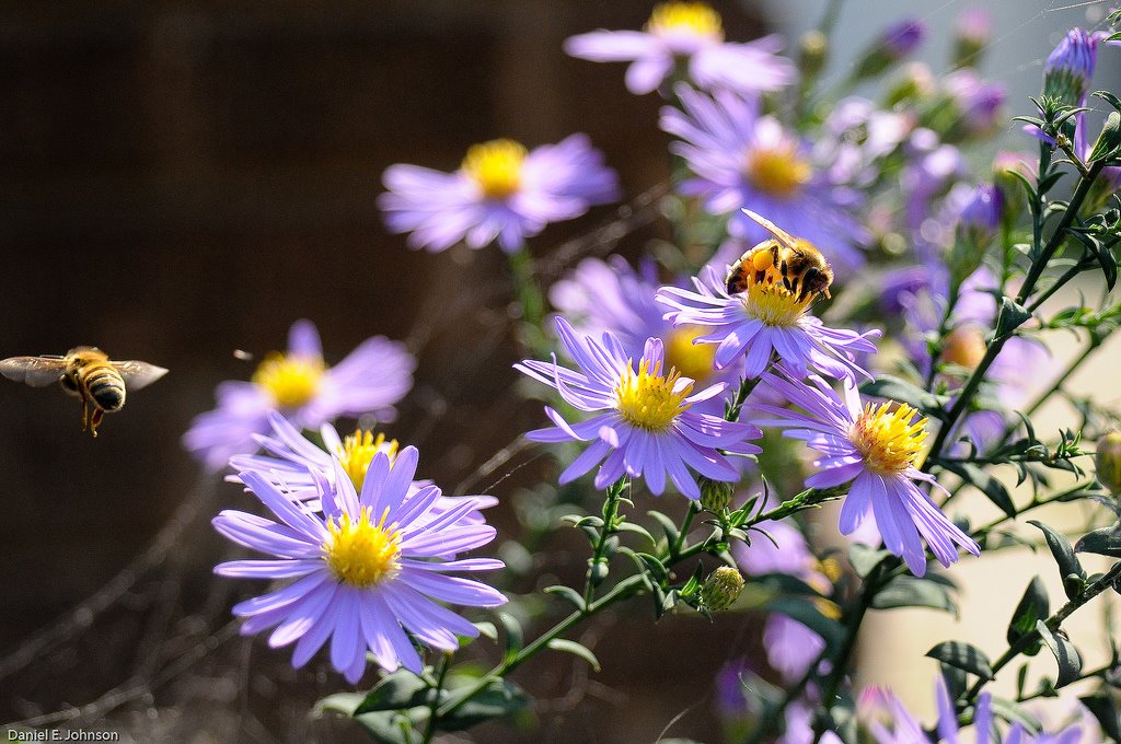Around the Bend by Daniel E. Johnson