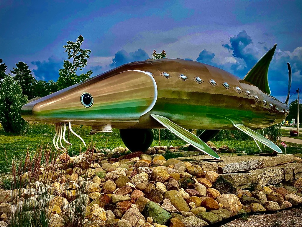 Indian River Sturgeon by Rick Kolb