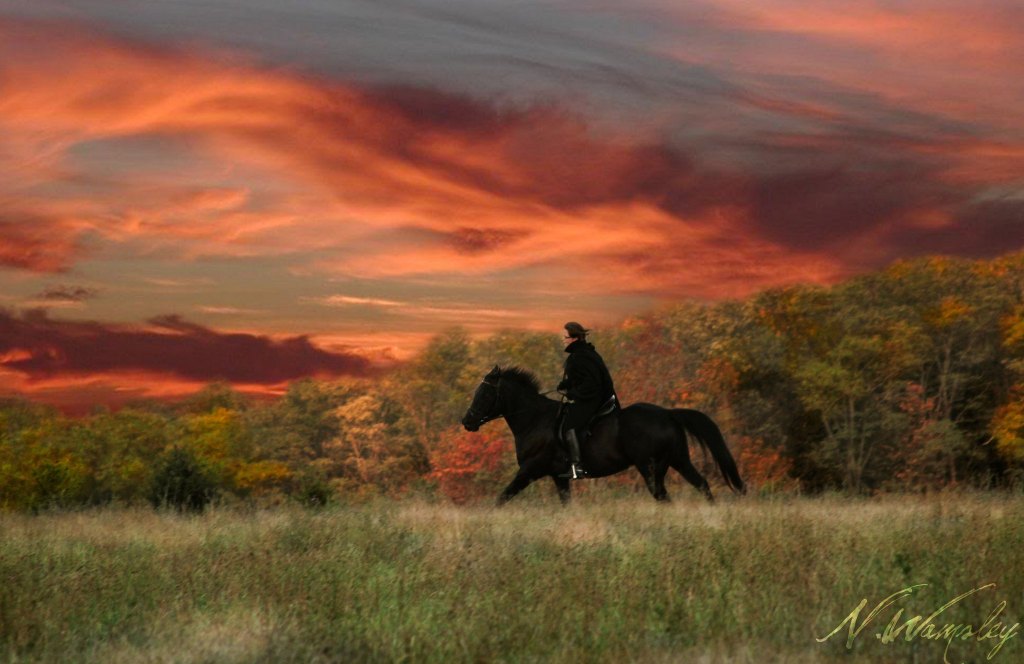 Halloween Sunset by Nicole Wamsley