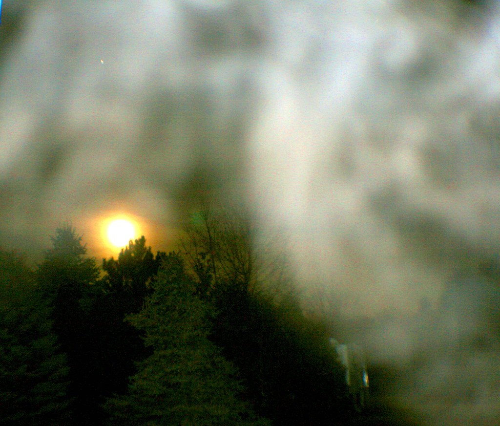 Wolf Moon Rising by Marsha Morningstar