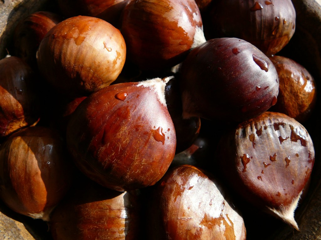Beautiful Chestnuts by Julie Weatherbee