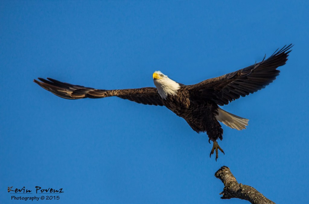 Liftoff by Kevin Povenz