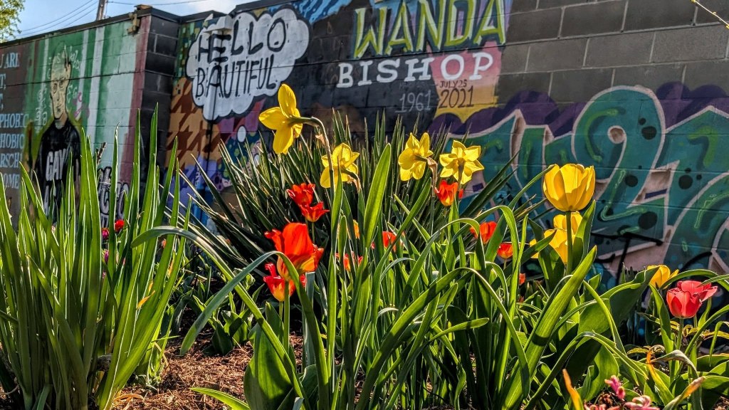 Hello Beautiful by Lansing Area Guerilla Gardeners