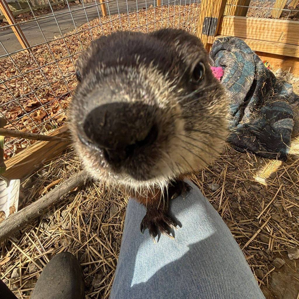 Goofy Glory by Howell Nature Center