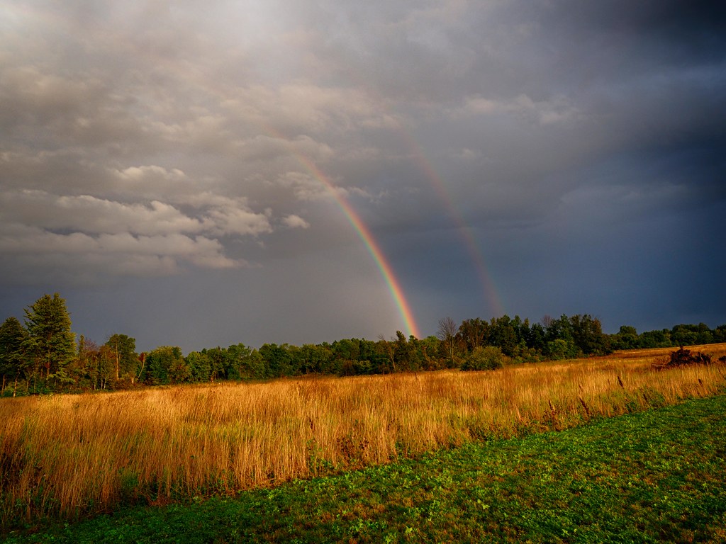 Rainbowwow by Jamie A. MacDonald