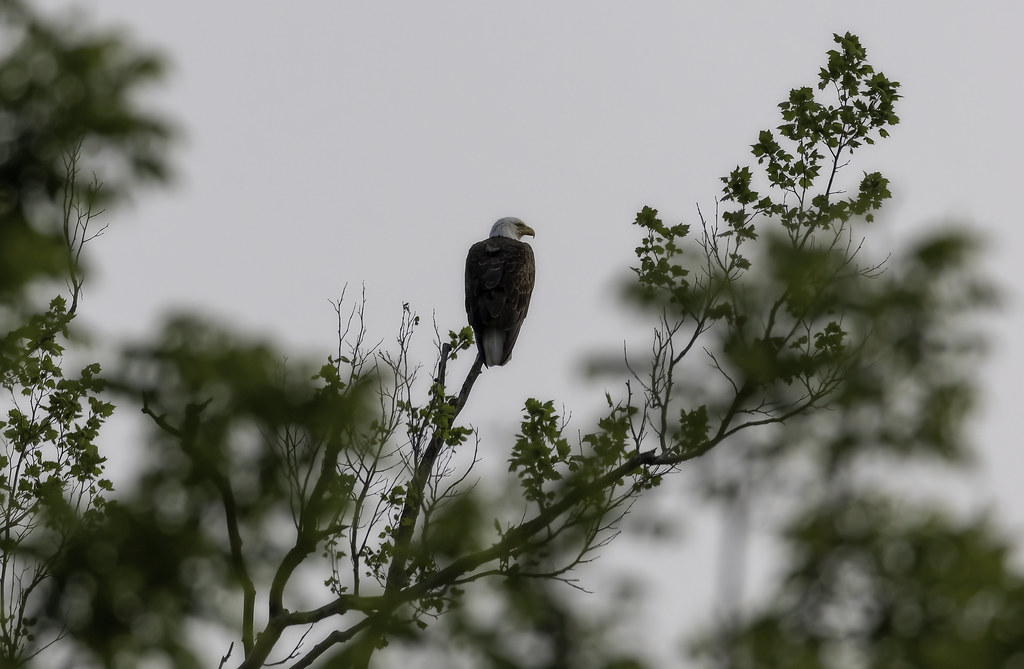 Waiting for the sunrise... by Kevin Povenz