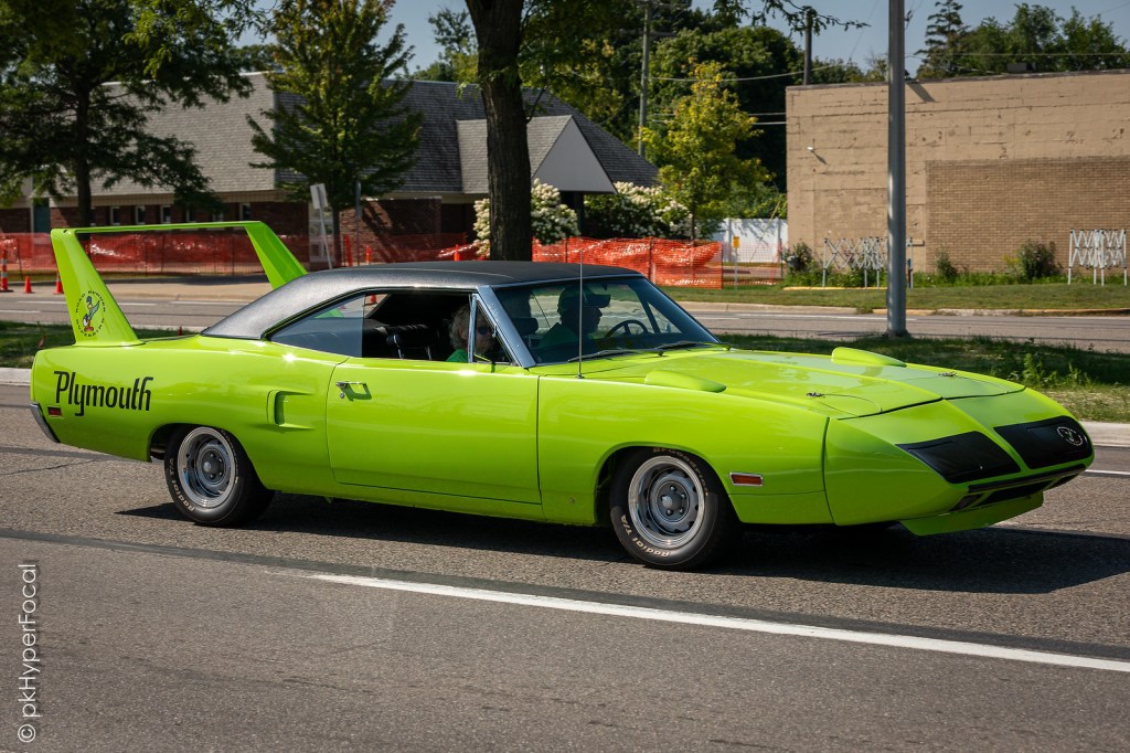 RARE BIRD by pkHyperFocal