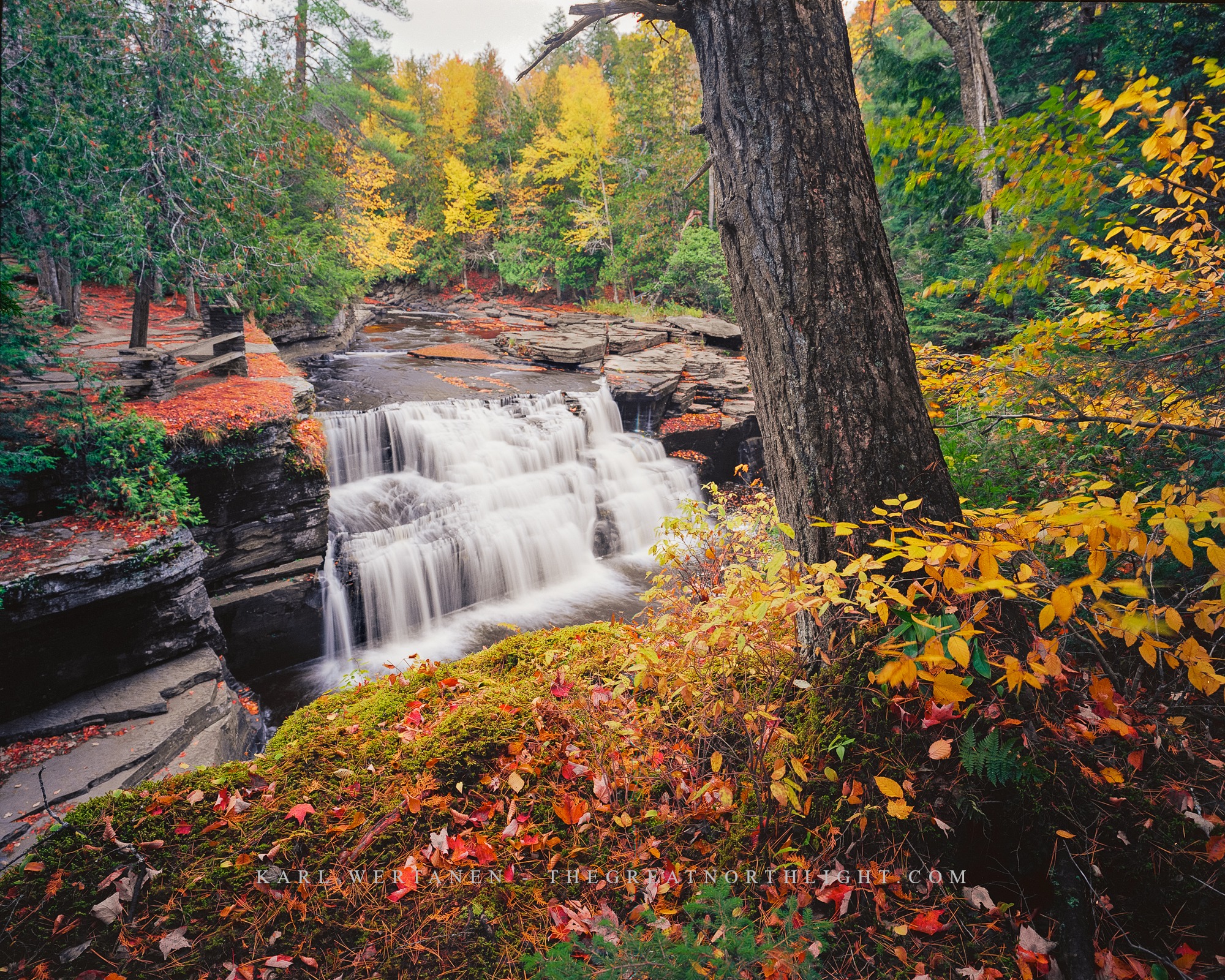 Canyon Falls by Karl Wertanen