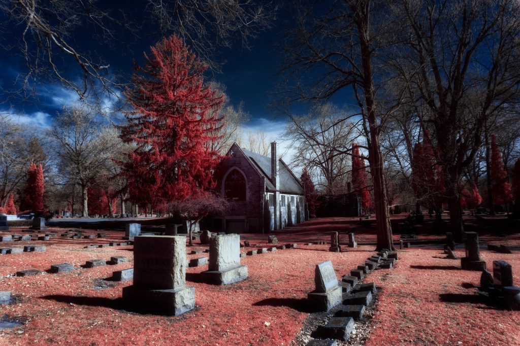 Oak Hill by Bill Dolak