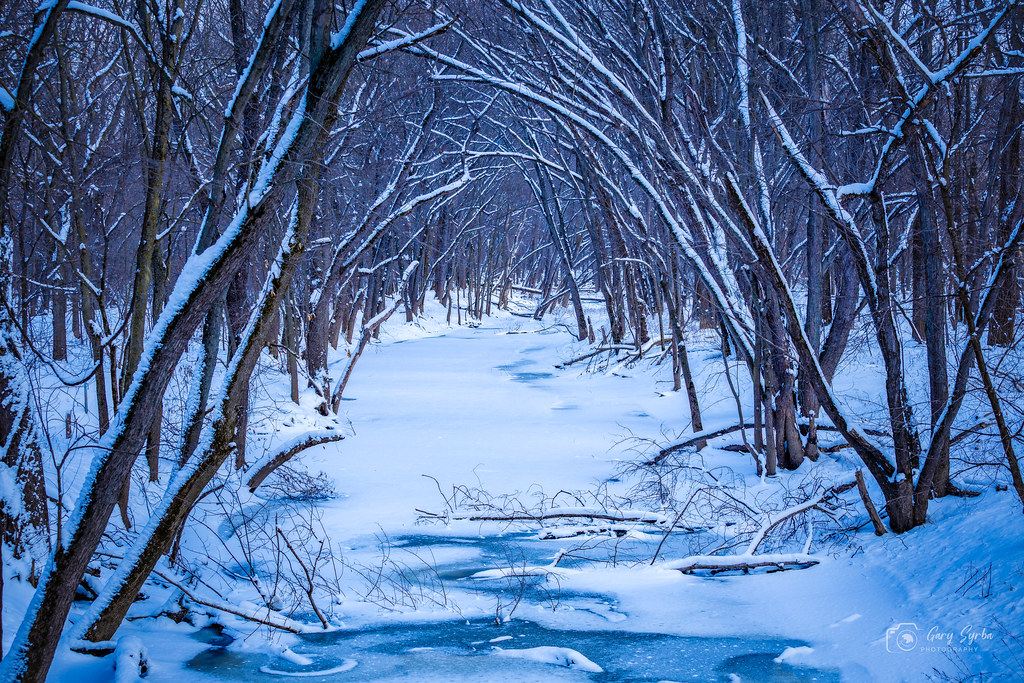 Untitled by Gary Syrba