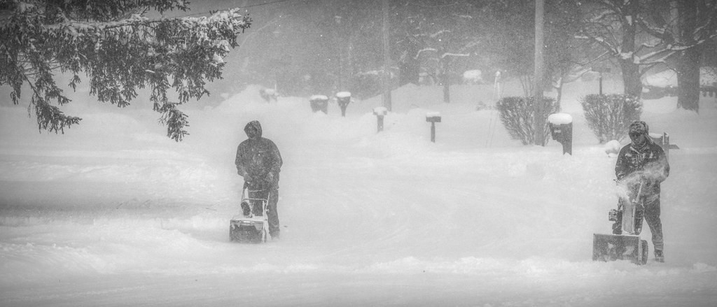 Neighbors by Kevin Povenz